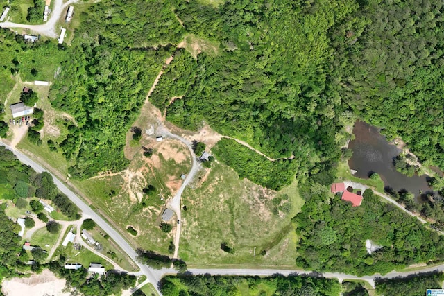 1352 County Road 185, Jemison, AL 35085 - drone / aerial view