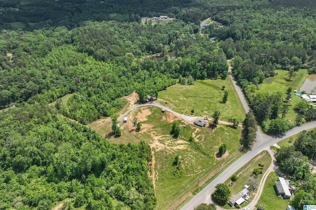 1352 County Road 185, Jemison, AL 35085 - birds eye view of property featuring a view of trees