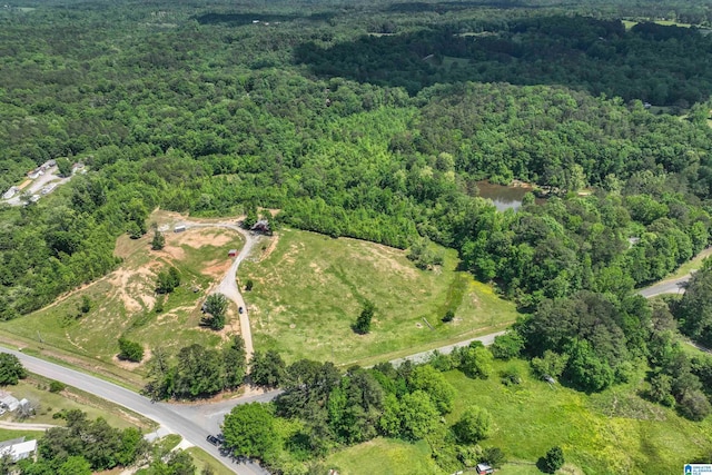 1352 County Road 185, Jemison, AL 35085 - aerial view featuring a water view and a forest view