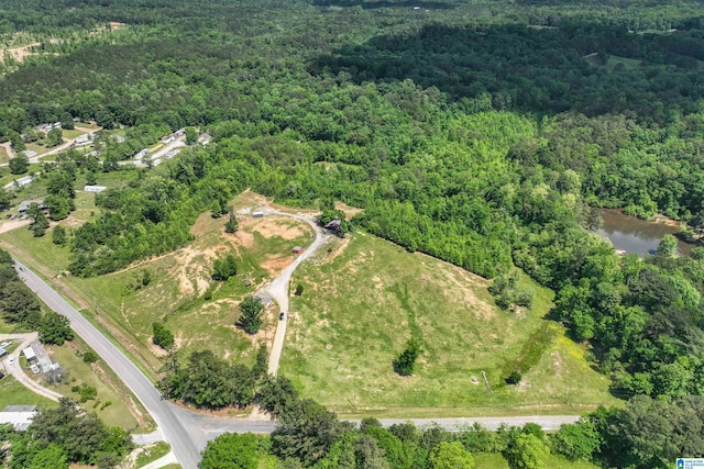1352 County Road 185, Jemison, AL 35085 - drone / aerial view featuring a water view and a view of trees