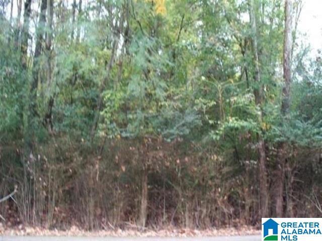 1025 Stoudemire Ave Unit 0, Birmingham AL, 35217 land for sale
