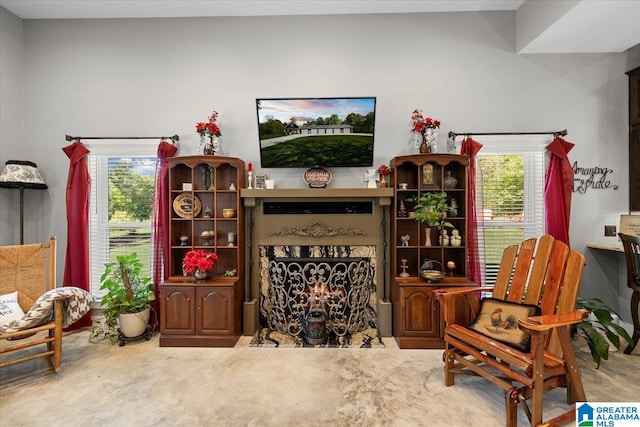 sitting room featuring plenty of natural light