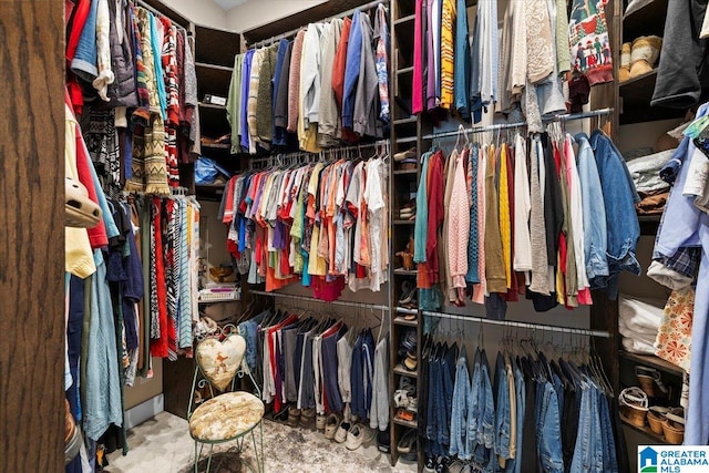 view of walk in closet