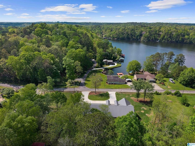 drone / aerial view with a water view and a view of trees