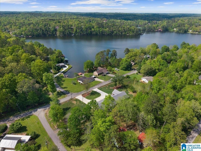 aerial view featuring a water view and a wooded view