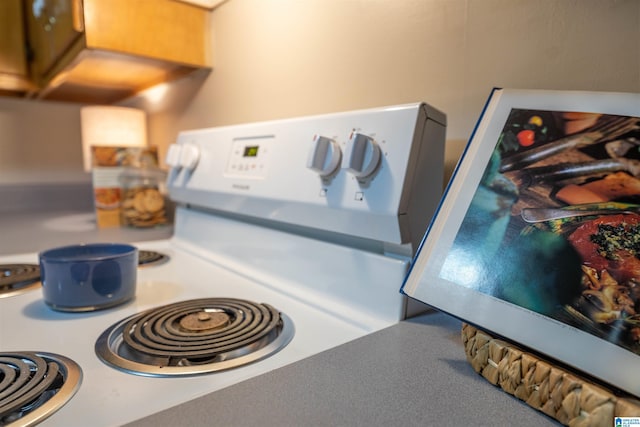 interior details featuring white range with electric stovetop