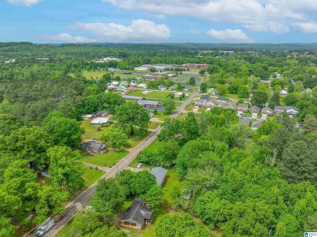 bird's eye view with a forest view