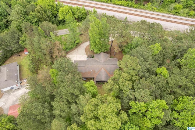 aerial view