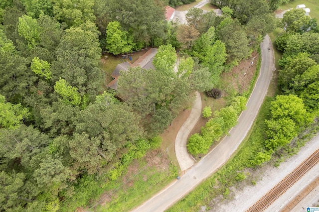 aerial view