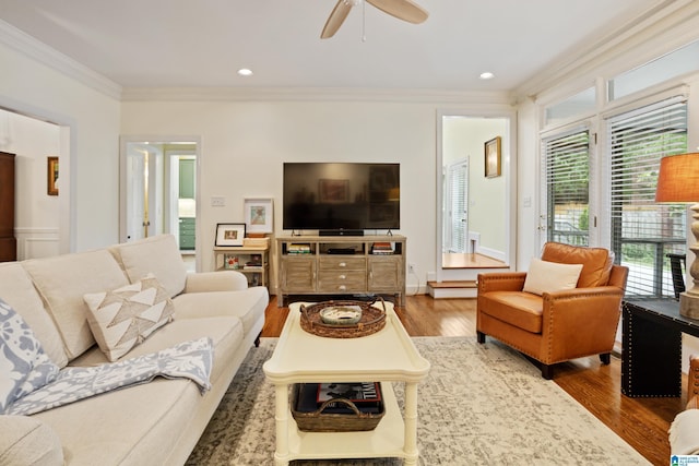 living room featuring ornamental molding, ceiling fan, and wood finished floors