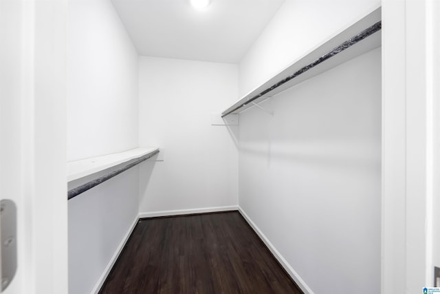 5708 Hickory Ct, Pinson, AL 35126 - walk in closet with dark wood-style floors