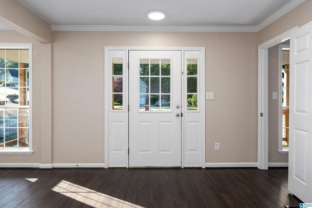 5708 Hickory Ct, Pinson, AL 35126 - foyer featuring dark wood finished floors, plenty of natural light, baseboards, and ornamental molding