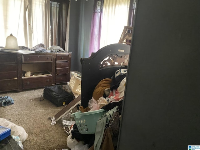 bedroom with carpet