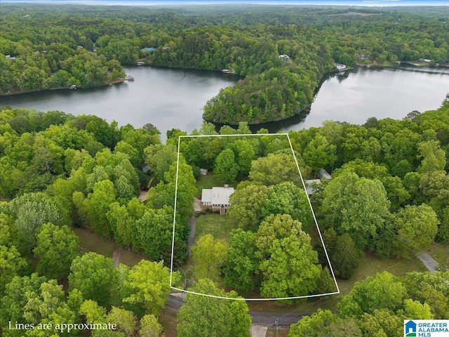 aerial view with a water view and a view of trees