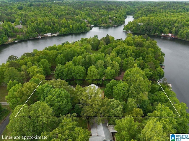 bird's eye view featuring a water view and a wooded view