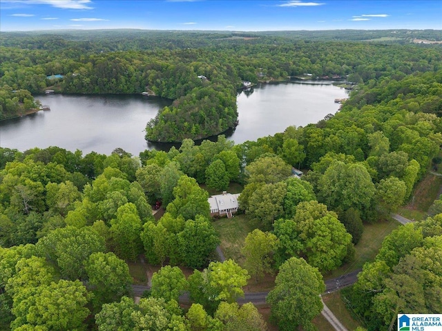 drone / aerial view with a view of trees and a water view