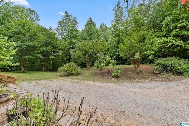 323 Taylor Rd, Remlap, AL 35133 - view of yard