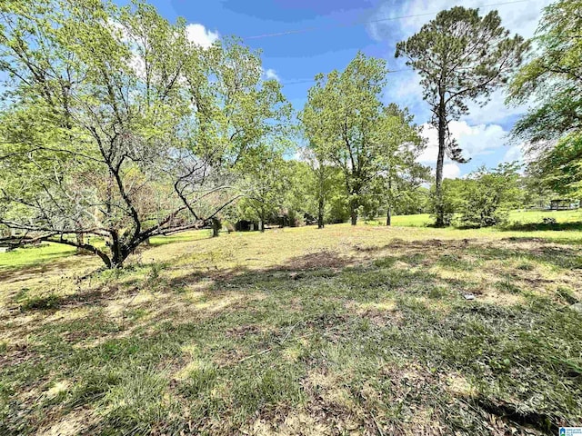558 Michigan Ave, Thorsby, AL 35171