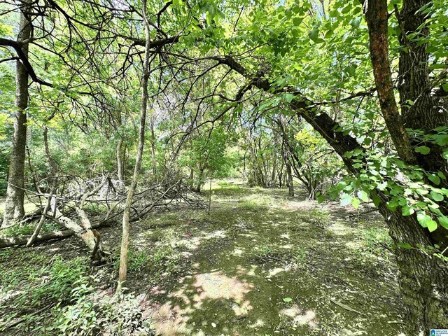 558 Michigan Ave, Thorsby, AL 35171