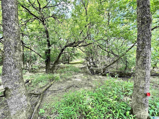 558 Michigan Ave, Thorsby, AL 35171