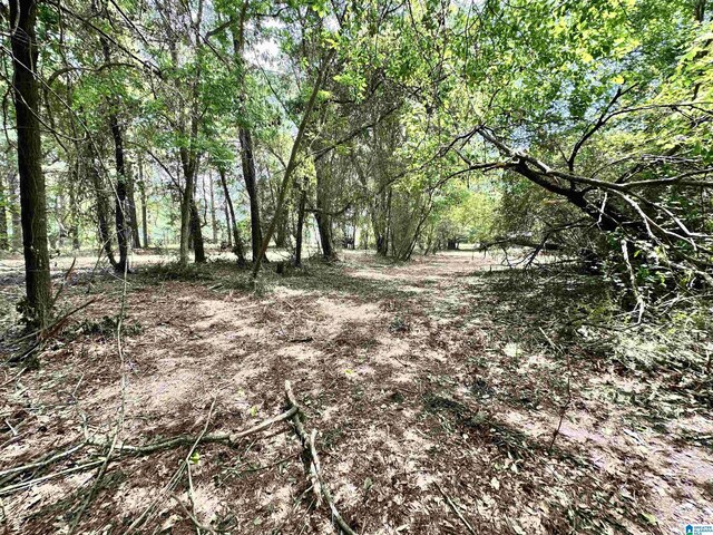 558 Michigan Ave, Thorsby, AL 35171