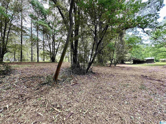 558 Michigan Ave, Thorsby, AL 35171