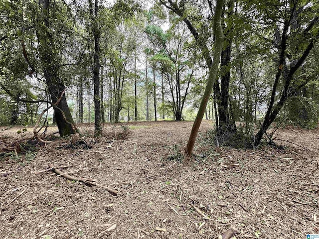 558 Michigan Ave, Thorsby, AL 35171