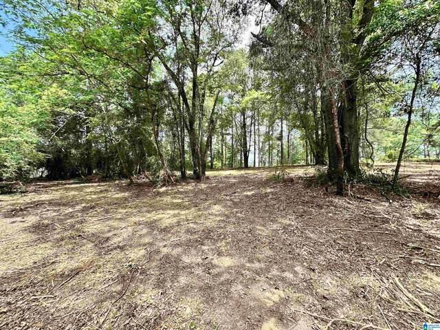 558 Michigan Ave, Thorsby, AL 35171