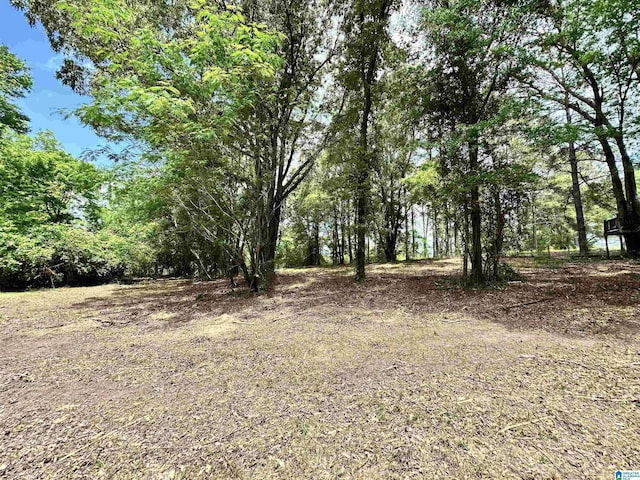 558 Michigan Ave, Thorsby, AL 35171