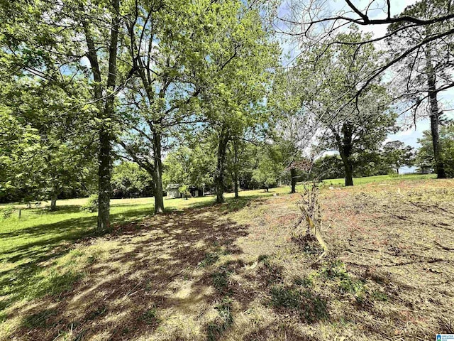 558 Michigan Ave, Thorsby, AL 35171