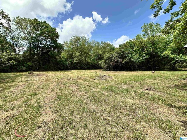 558 Michigan Ave, Thorsby, AL 35171