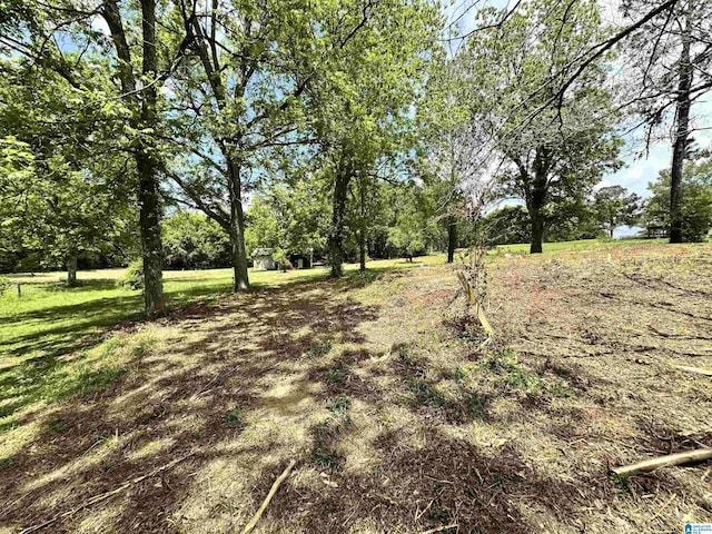 558 Michigan Ave, Thorsby, AL 35171
