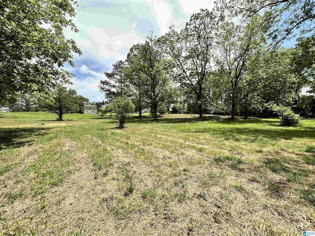 558 Michigan Ave, Thorsby, AL 35171