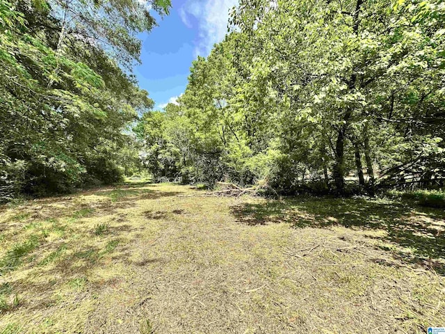 558 Michigan Ave, Thorsby, AL 35171