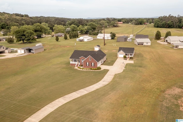 145 Cameron Ct, Alexandria, AL 36250 - birds eye view of property