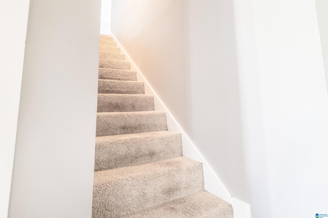 145 Cameron Ct, Alexandria, AL 36250 - stairs featuring baseboards