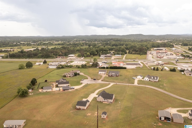 145 Cameron Ct, Alexandria, AL 36250 - drone / aerial view