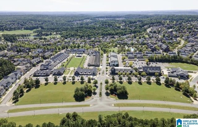 4000 Dunemere Ln, Hoover, AL 35226 - bird's eye view of a forest