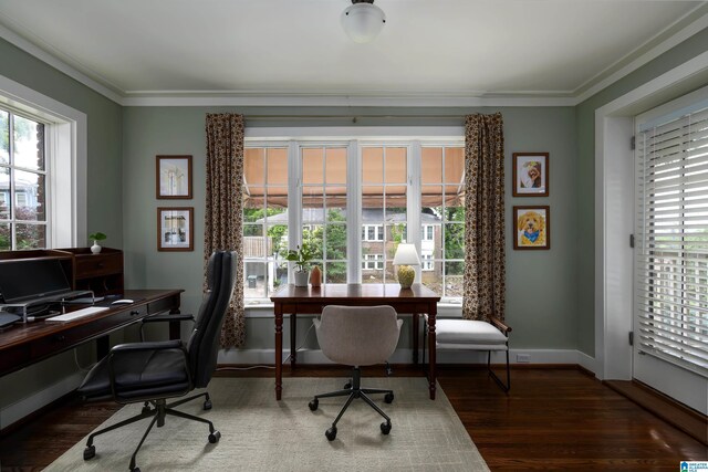 1305 31st St S Unit 202, Birmingham, AL 35205 - home office with plenty of natural light, crown molding, wood finished floors, and baseboards
