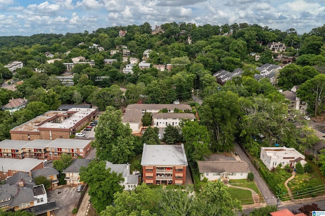 1305 31st St S Unit 202, Birmingham, AL 35205 - aerial view of residential area with a tree filled landscape