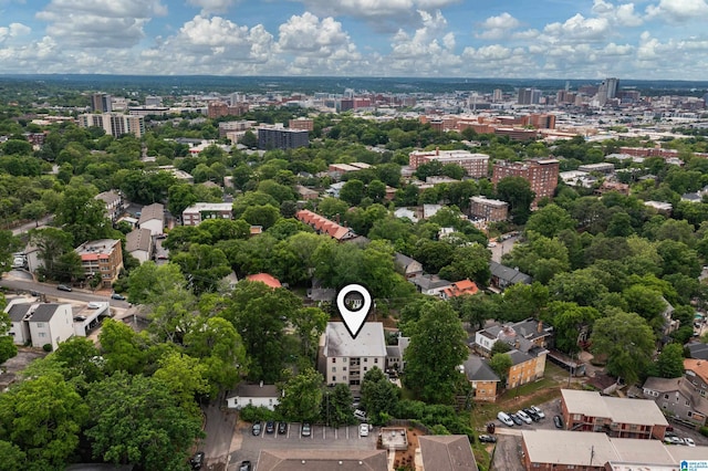 1305 31st St S Unit 202, Birmingham, AL 35205 - view of urban area