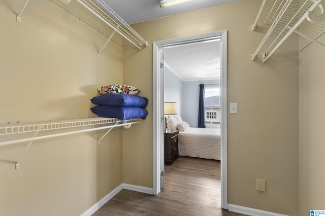 walk in closet featuring wood finished floors