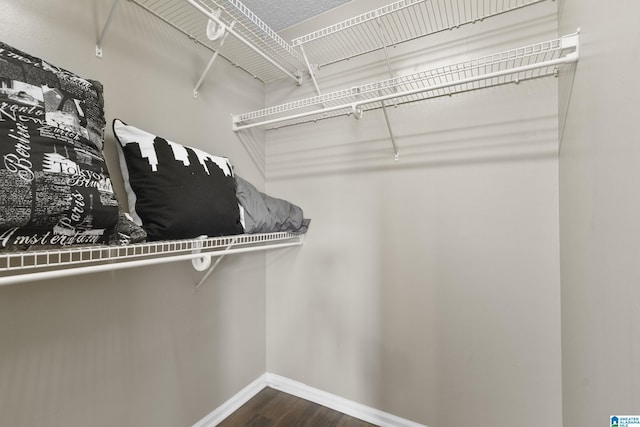 spacious closet featuring dark wood-style floors