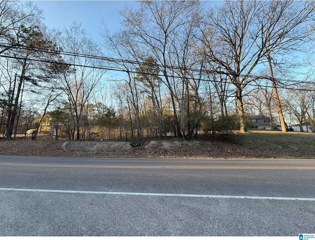 208 25th Ave NE Unit 0, Center Point, AL 35215