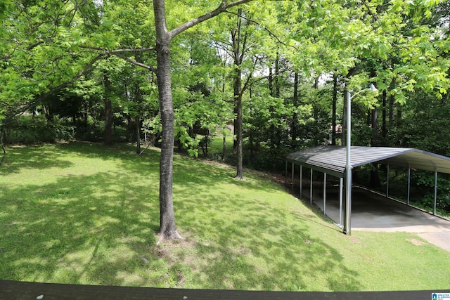 view of yard featuring a carport