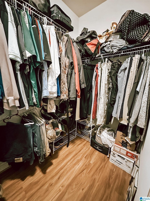 spacious closet featuring wood finished floors
