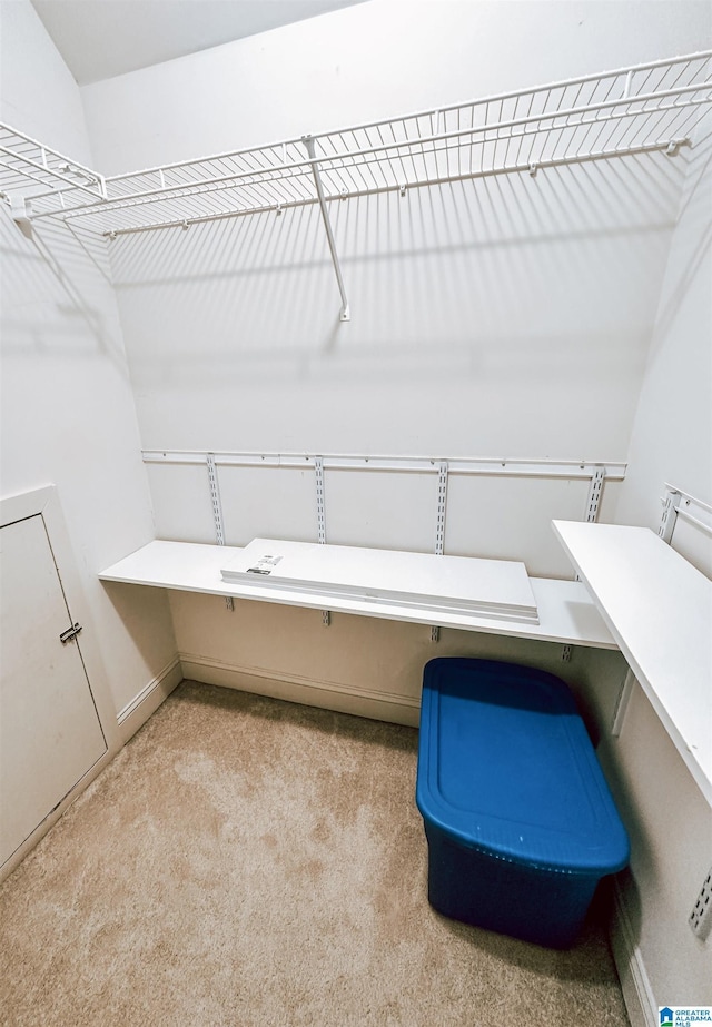 walk in closet with light colored carpet