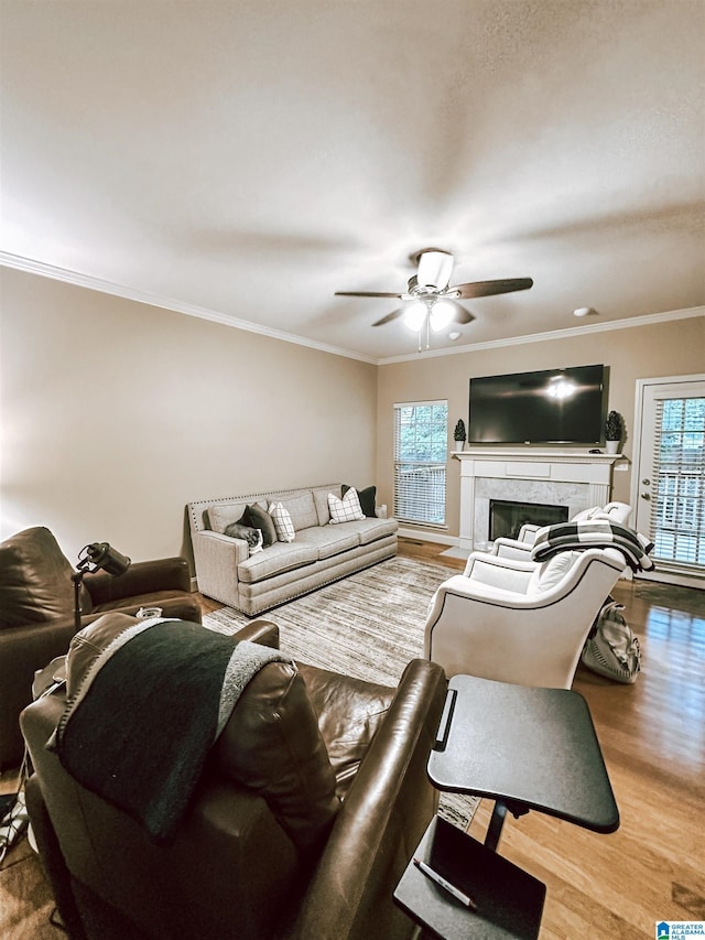 living room featuring healthy amount of natural light, ceiling fan, wood finished floors, crown molding, and a fireplace