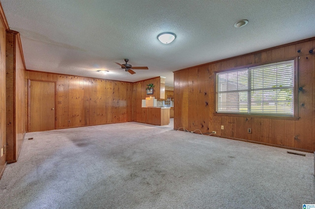 105 Campbell Rd, Clanton, AL 35045 - unfurnished living room featuring a textured ceiling, a ceiling fan, and wood walls