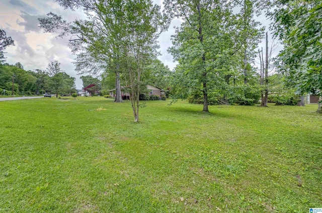 105 Campbell Rd, Clanton, AL 35045 - view of yard